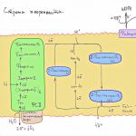 Artificial photosynthesis - what is artificial photosynthesis