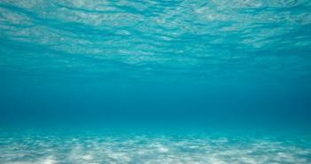 Солоність вод Світового океану