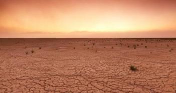 사막 : 특성 및 유형