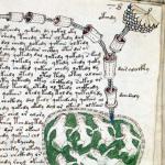 Decoding the Voynich manuscript What is written in the Voynich manuscript